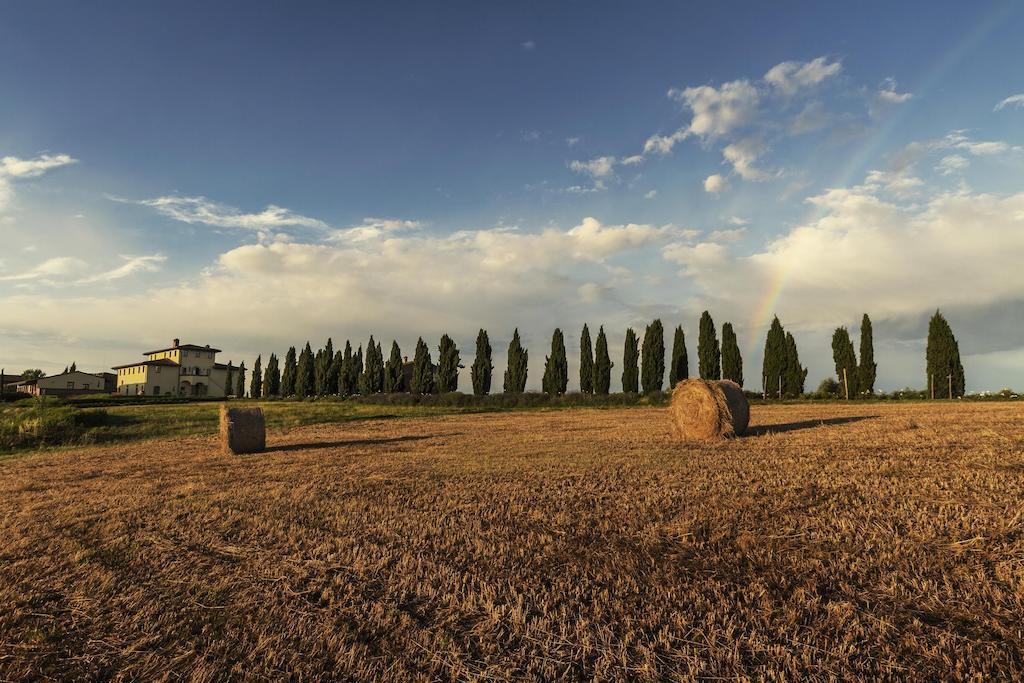 Casale Podernovo Terricciola